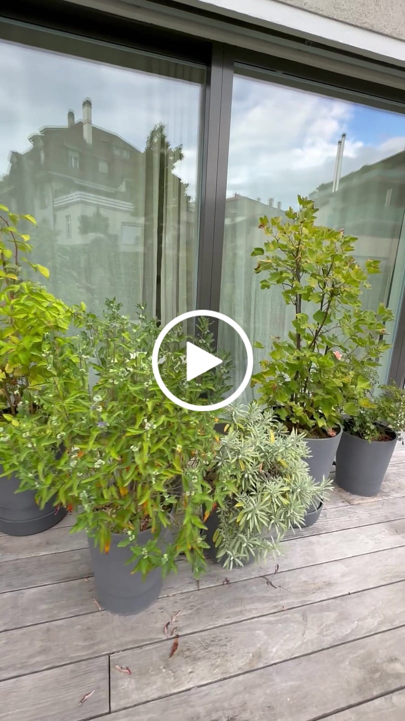 Customer video review of Boum App Premium Abo