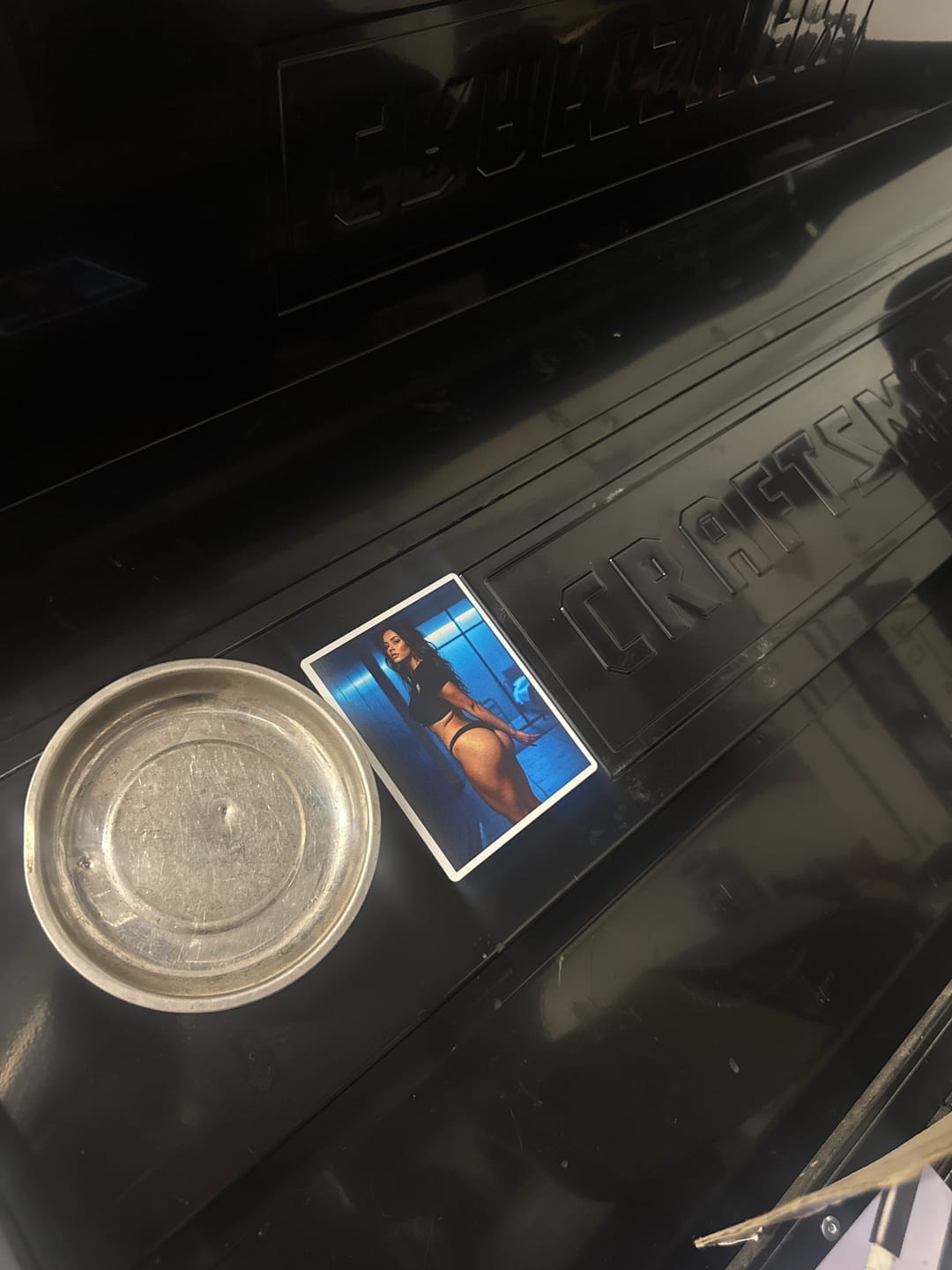 Customer photo review of Bedroom Vol. 15 Die-Cut Magnet