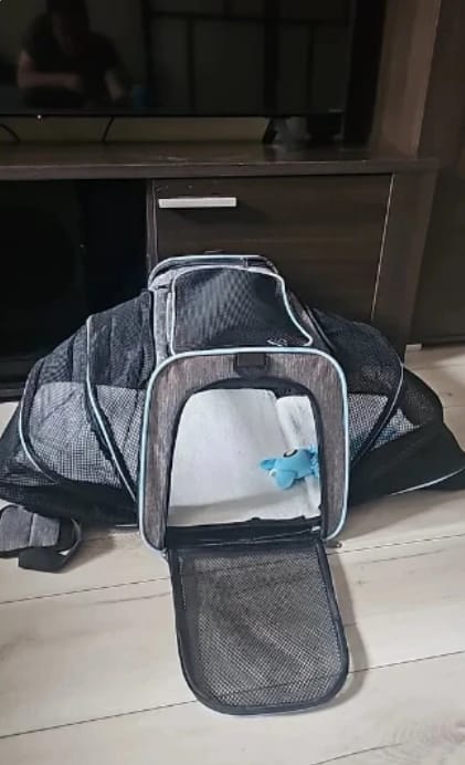 Customer photo review of Expandable Cat Travel Carrier