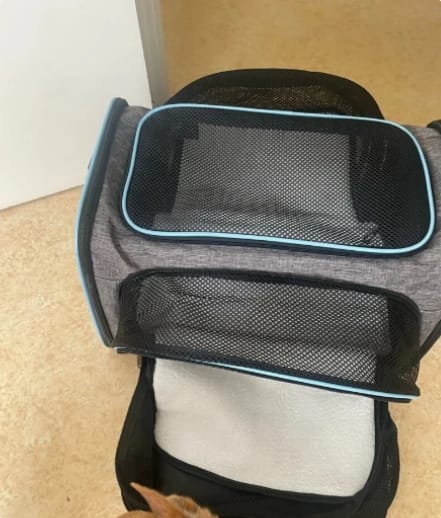 Customer photo review of Expandable Cat Travel Carrier