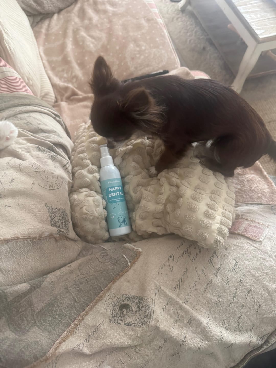 Customer photo review of Zahnpflege Kräuter Spray für Hunde '' HAPPY DENTAL''