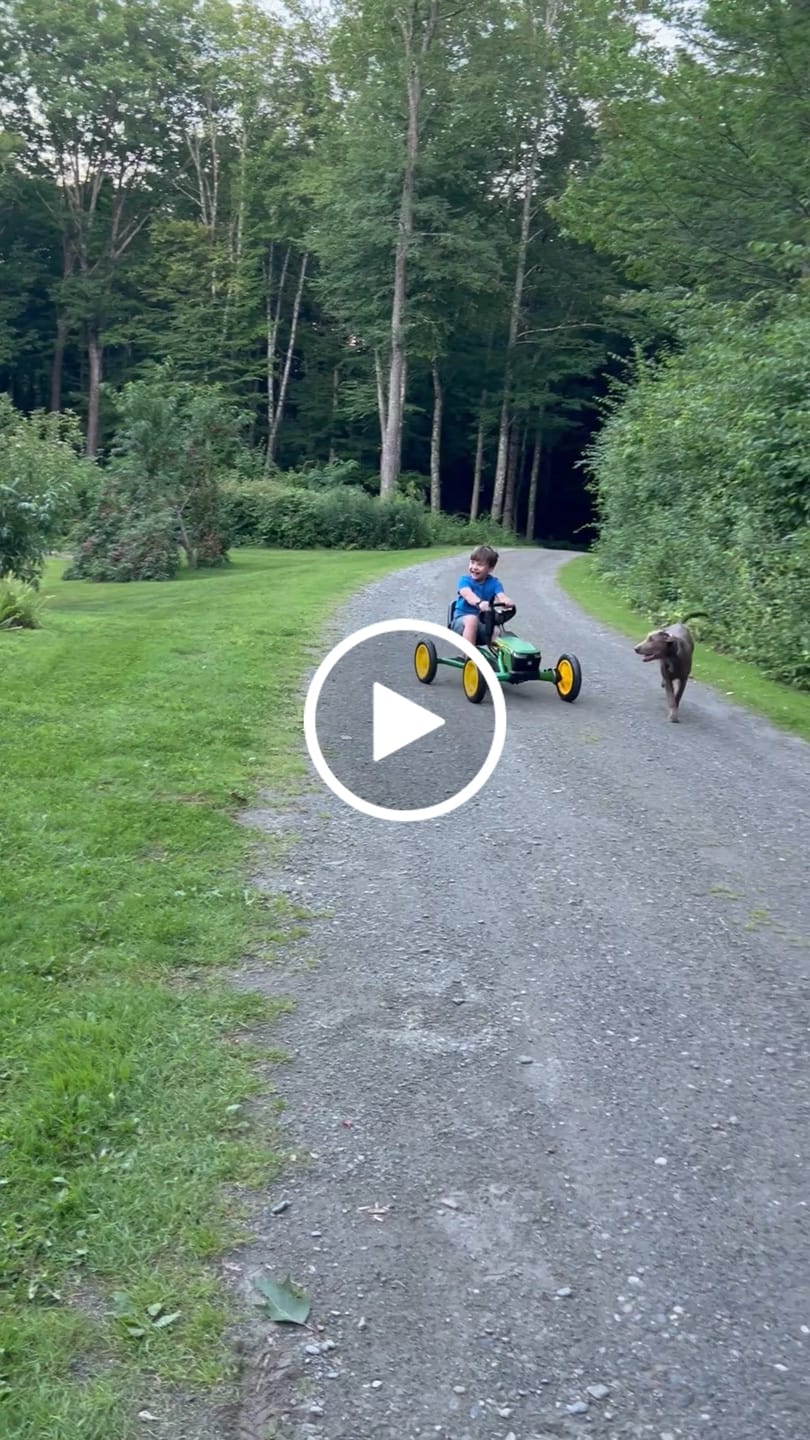 Customer video review of BERG Buddy