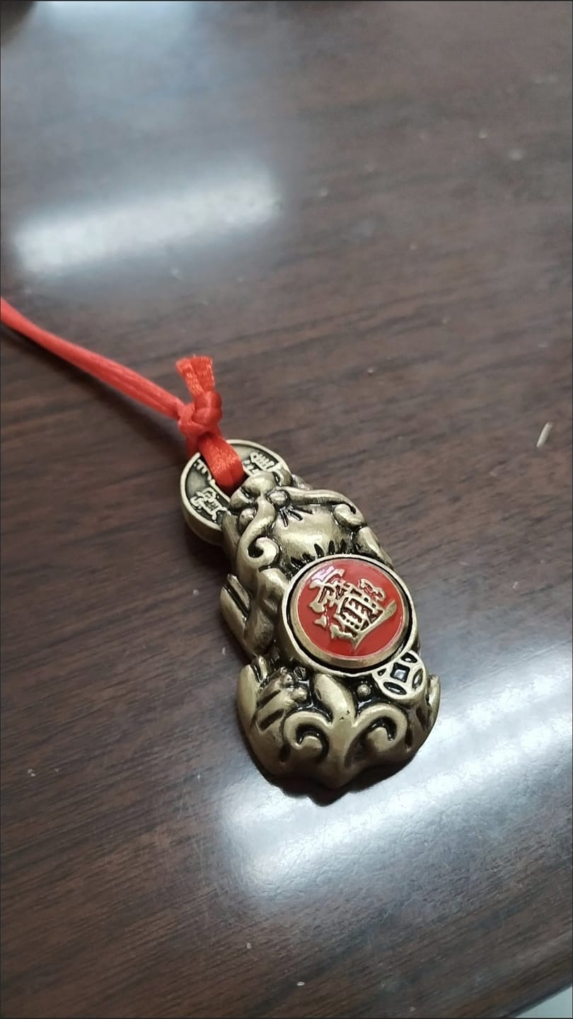 Customer photo review of FuAttract Wealth Protection & Prosperity Brass Pixiu Rotating Pendant Necklace