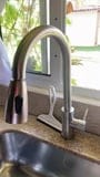 Customer photo review of Torneira Para Cozinha Flexível Gourmet