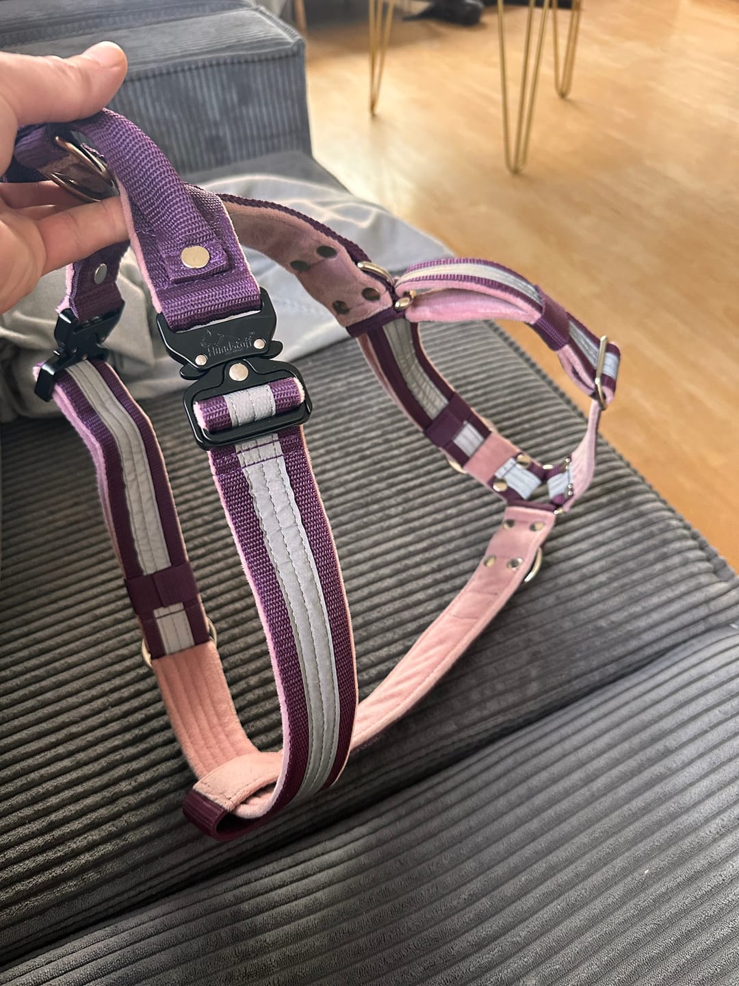 Customer photo review of Szelki z szybką klamrą - Easy Walk Extreme Safe Śliwkowa