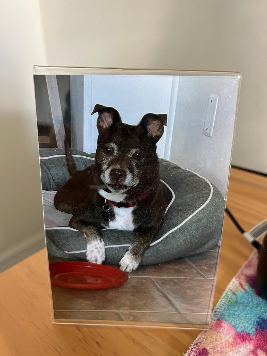 Customer photo review of Dust-Proof Acrylic Display Case