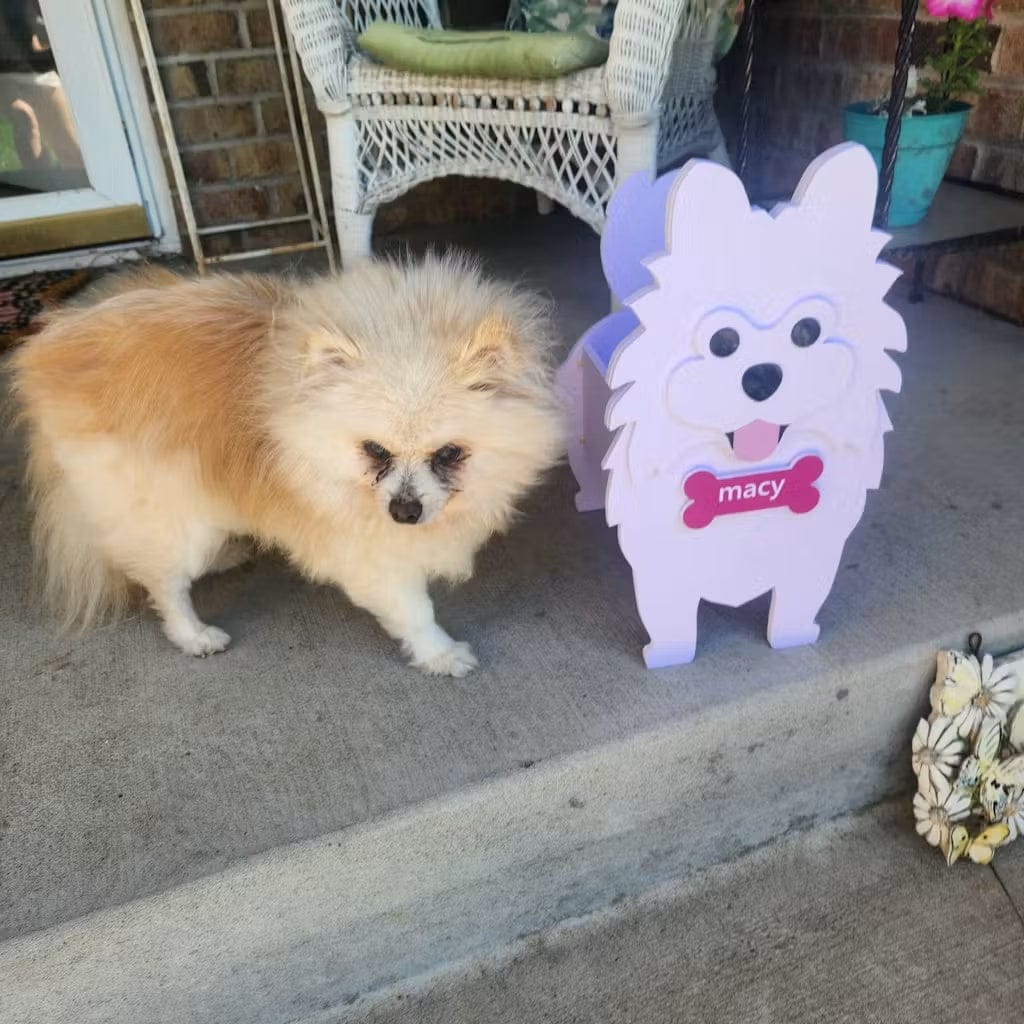 Customer photo review of Dog Planter - Pomeranian