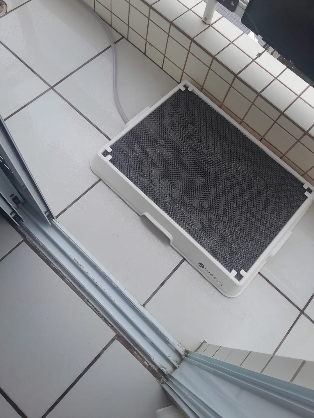 Customer photo review of Weasy Cão | Banheiro inteligente para cachorro