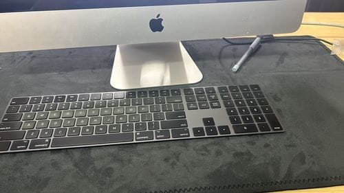 Customer photo review of SUEDE DESK RUG