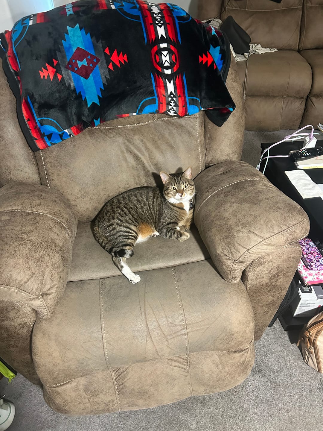 Customer photo review of 6x - Blisso Advanced Cat Probiotic