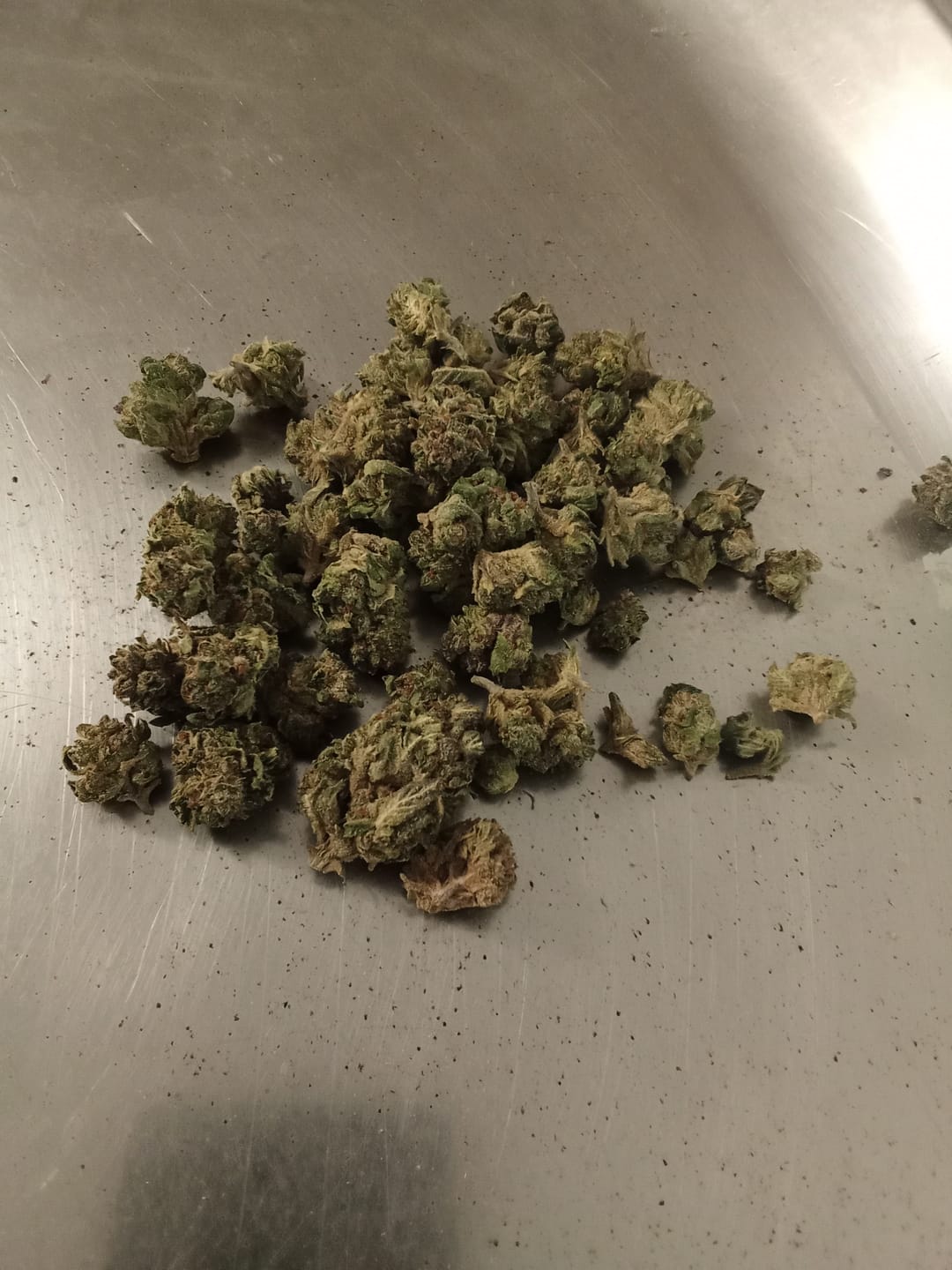 Customer photo review of Kush Pie Greenhouse THCA