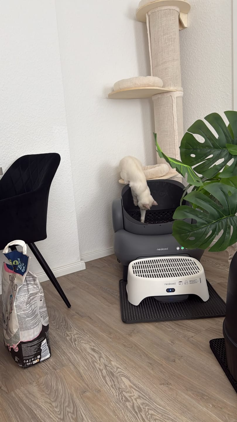 Customer photo review of Neakasa M1 Plus Selbstreinigende Katzentoilette mit offenem Design