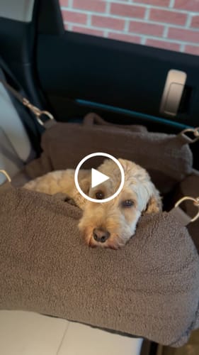 Customer video review of Chocolate | The Cosy Car Seat