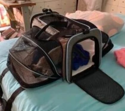 Customer photo review of Expandable Cat Travel Carrier