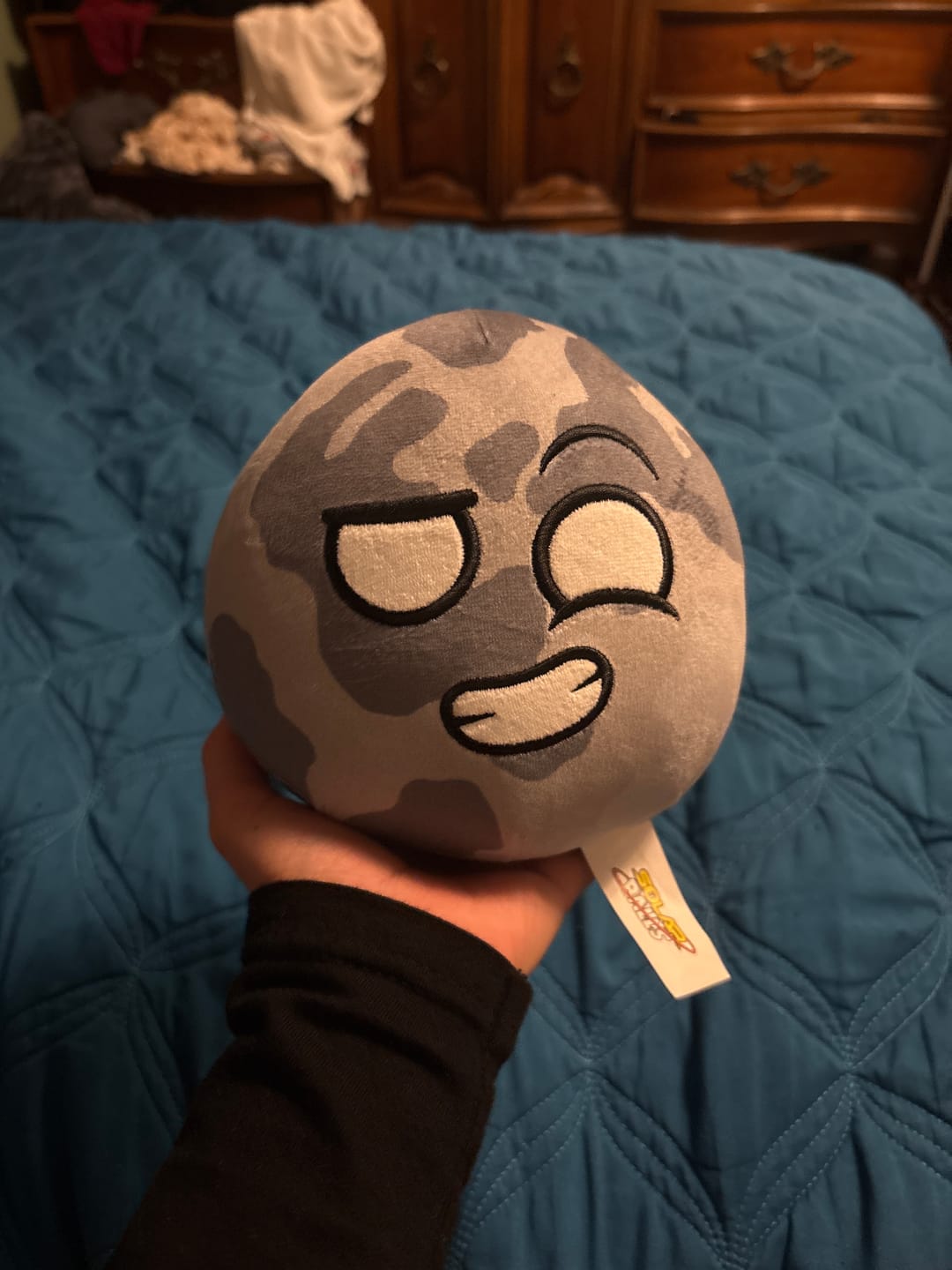 Customer photo review of The SolarBalls Moon Plush