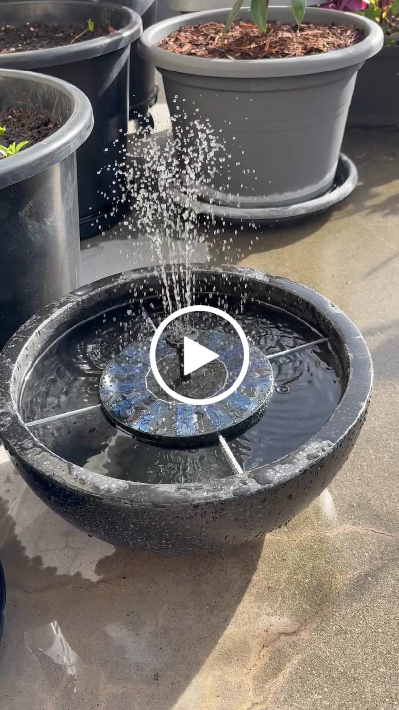 Customer video review of AhiSpring™ | Solar Garden Fountain