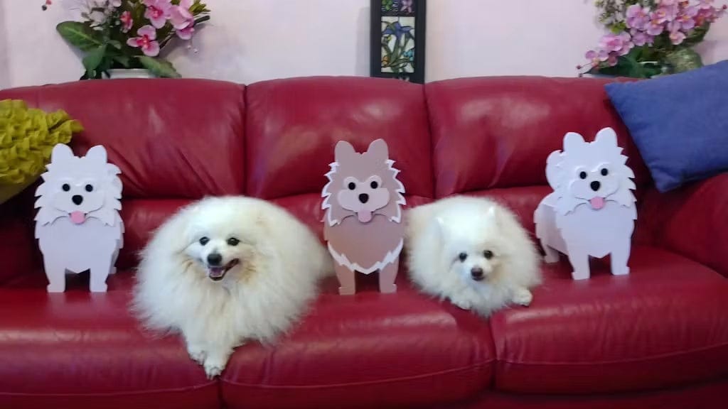 Customer photo review of Dog Planter - Pomeranian