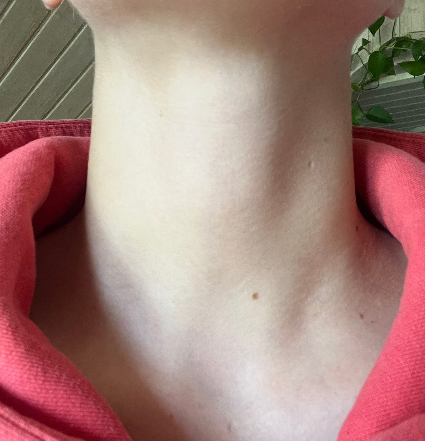 Customer photo review of Silky Sage Talivoide