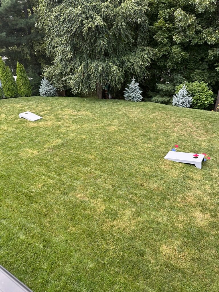 Customer photo review of Weatherproof Cornhole - Bright Silver