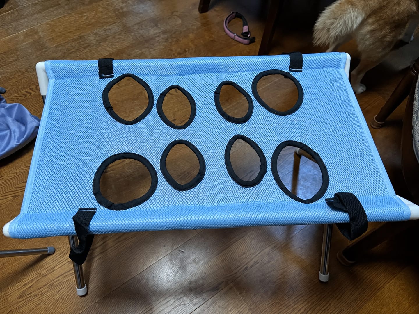 Customer photo review of Bade- und Pflegehilfe für Haustiere