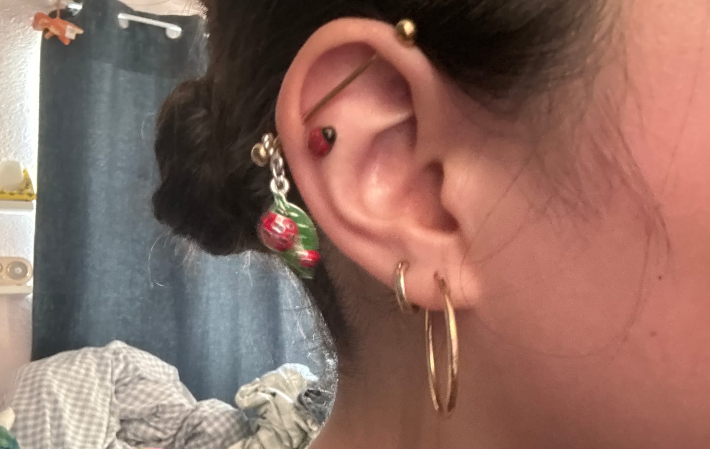 Customer photo review of Charm Hoops