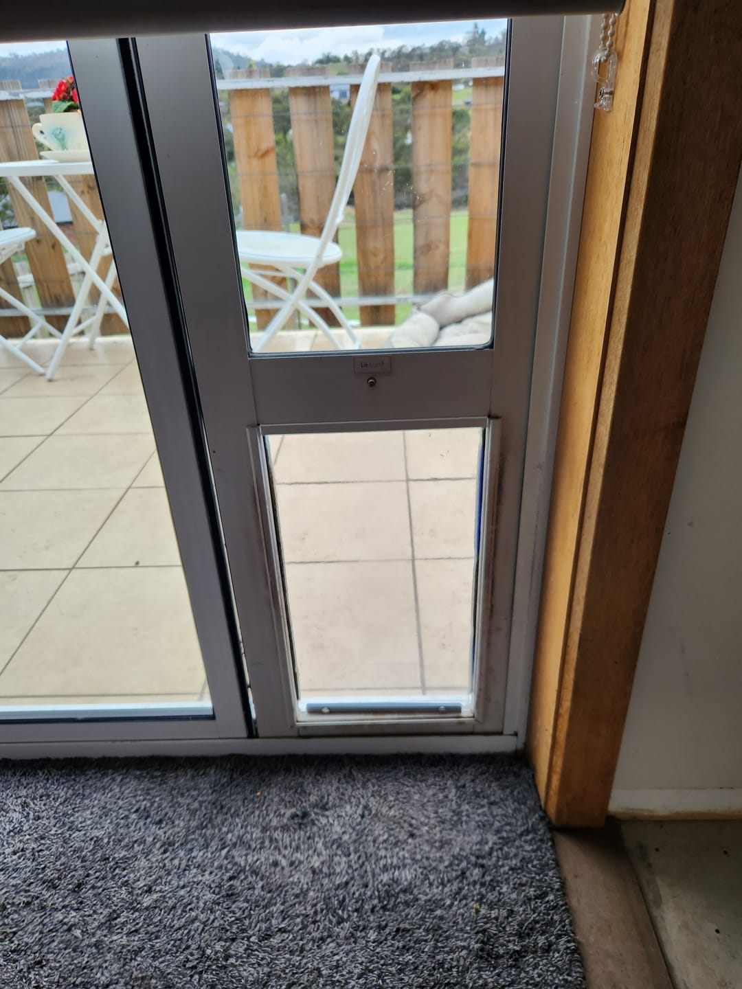 Customer photo review of Replacement Pet flap V3.0