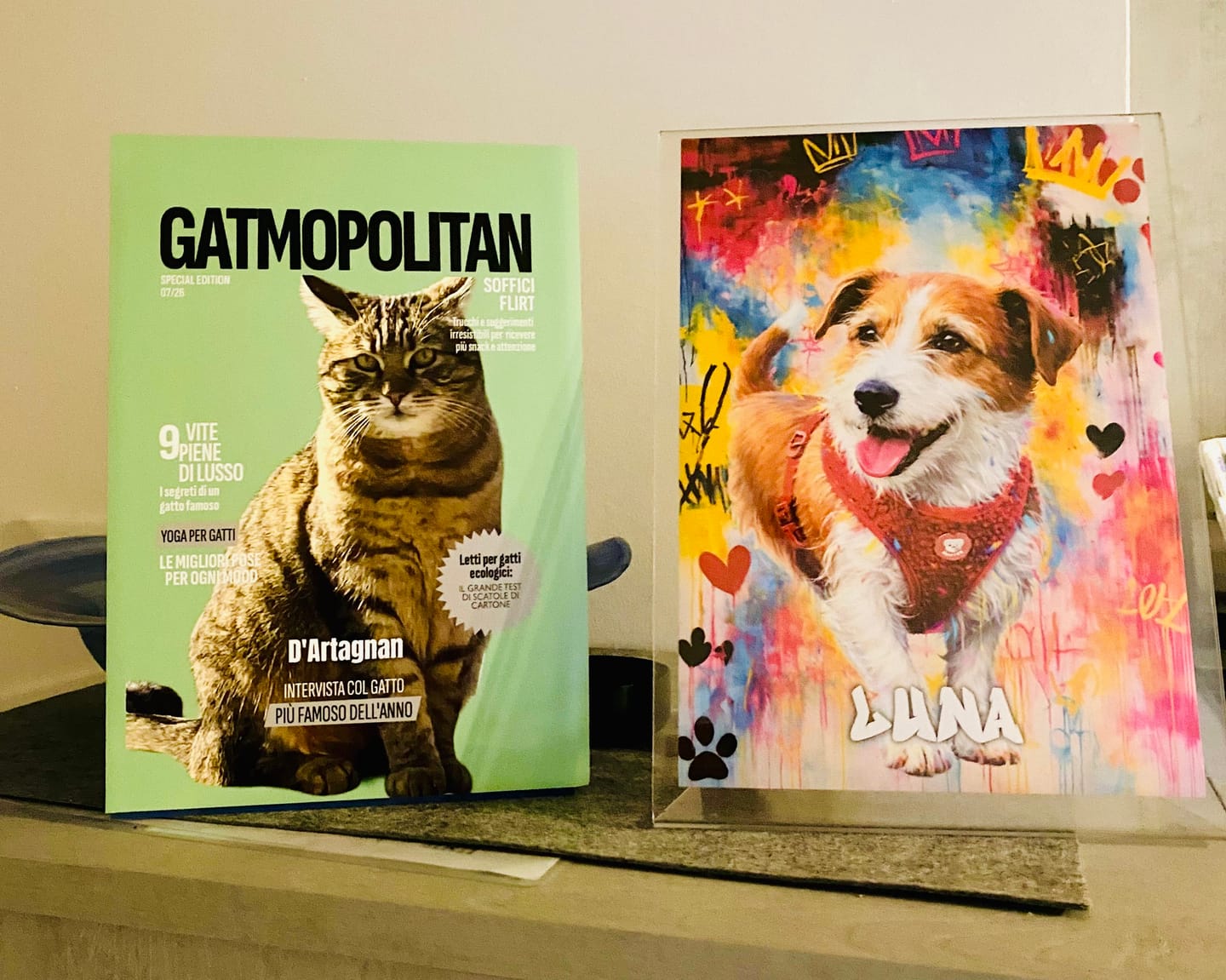 Customer photo review of Gatmopolitan - Poster personalizzato