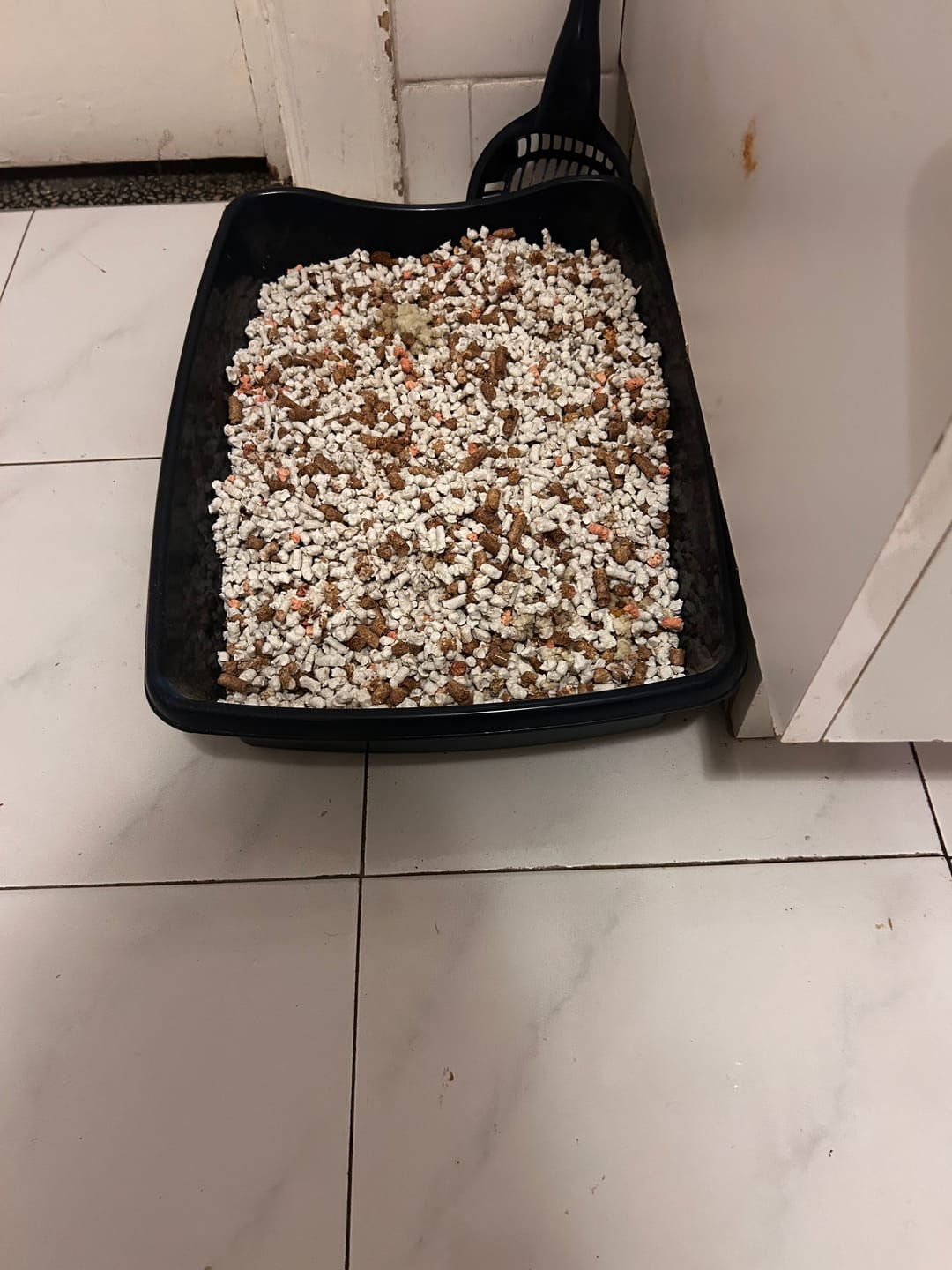 Customer photo review of Fit Litter ECO