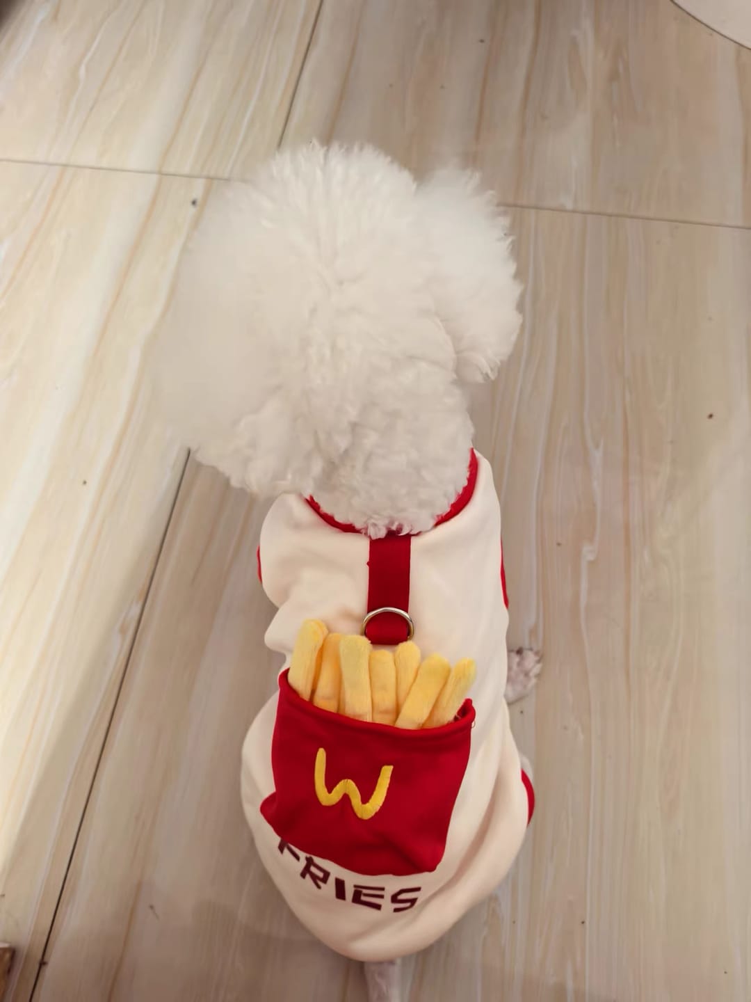 Customer photo review of Pocket French Fries Hoodie Costume
