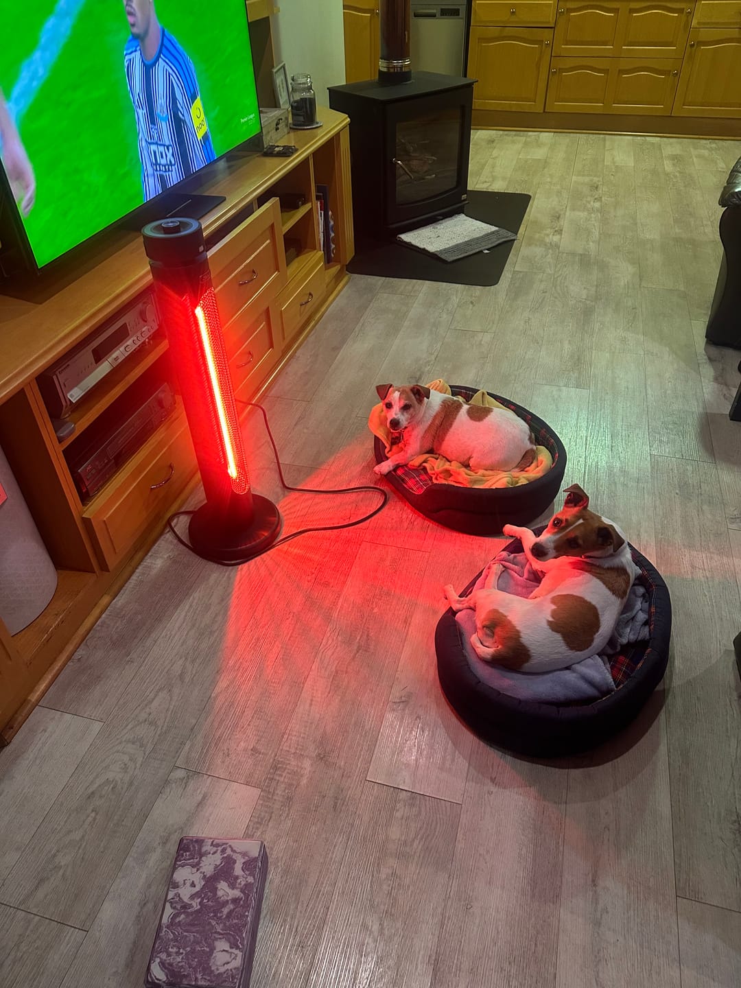 Customer photo review of Indoor & Outdoor Infrared Heater