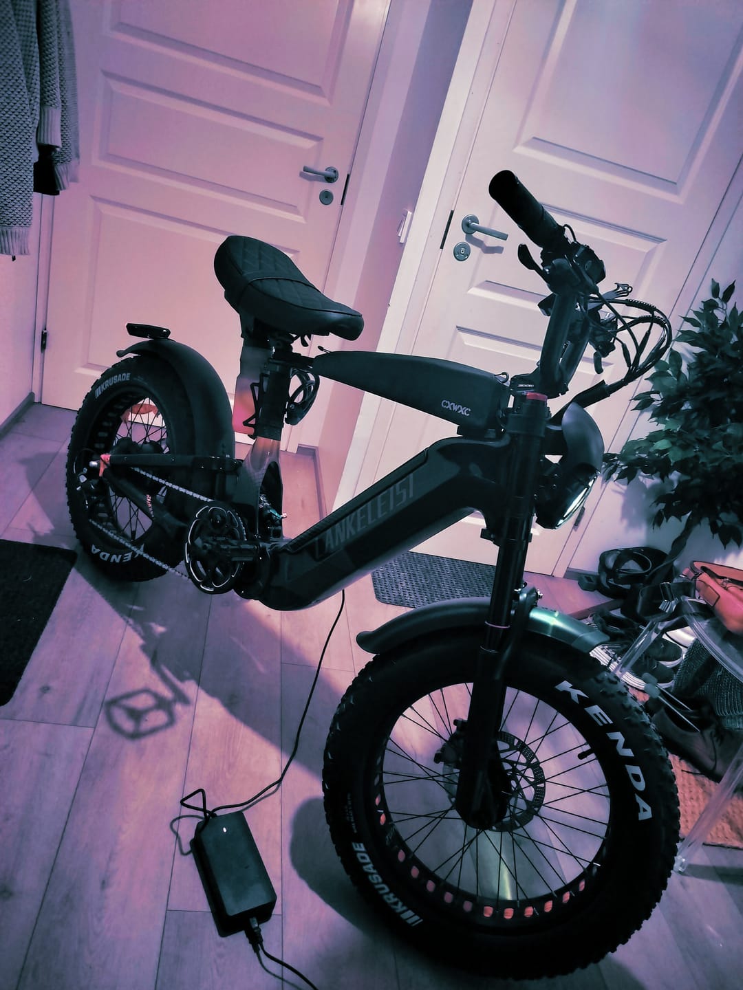 Customer photo review of Lankeleisi RX800 Plus 1000W 20" Fat Bike 960Wh Full Suspension Electric Bike with Torque Sensor 48V 20Ah Battery SUV E-Bike
