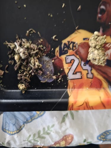Dank Forest - Hash Hole - 2g photo review