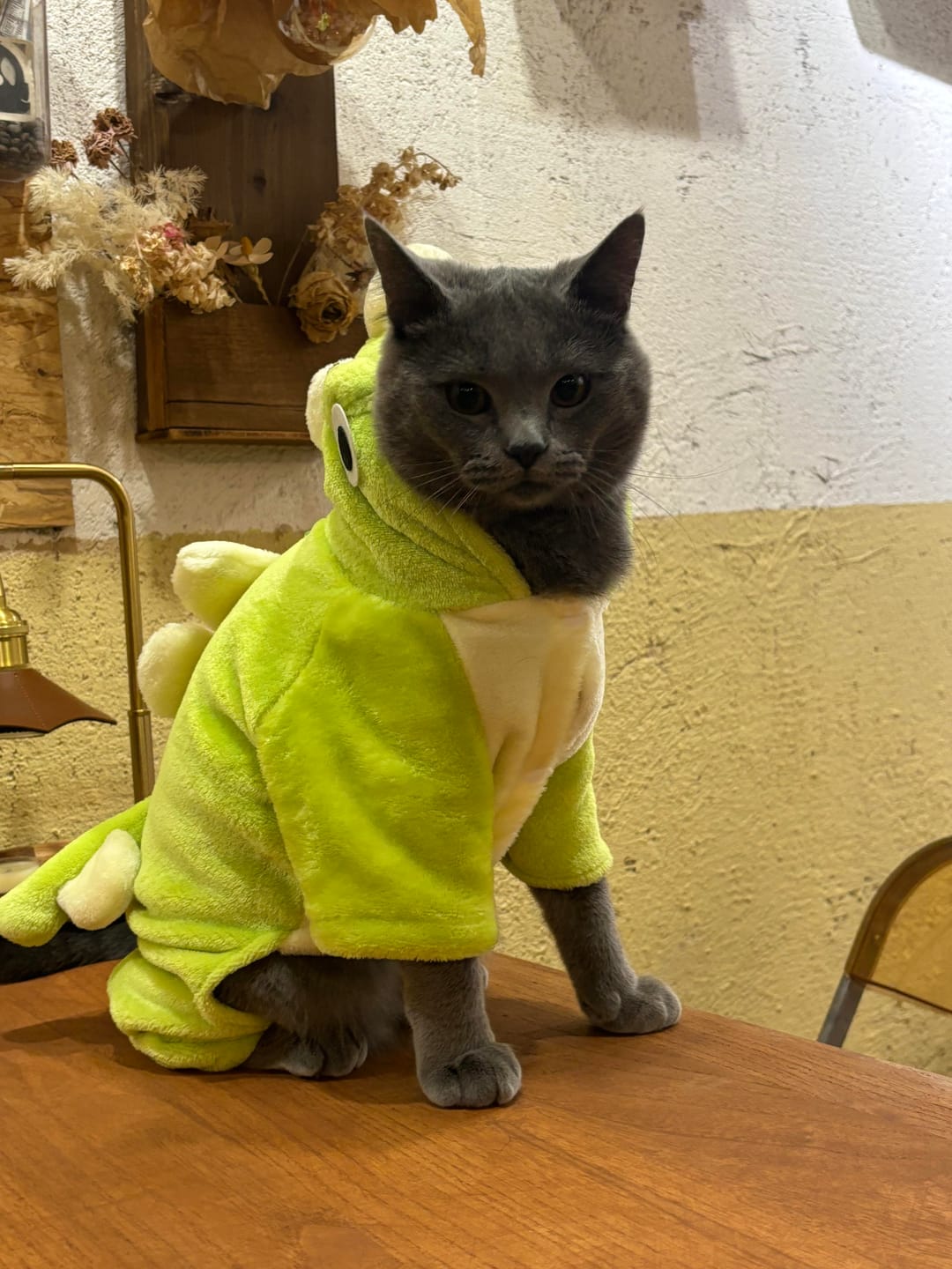 Customer photo review of Dinosaur Bodysuit costume