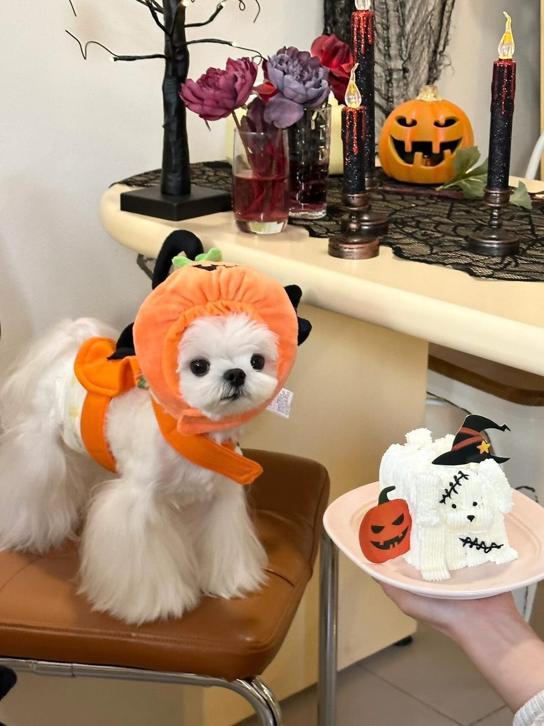 Customer photo review of Halloween Pumpkin Hats Costume