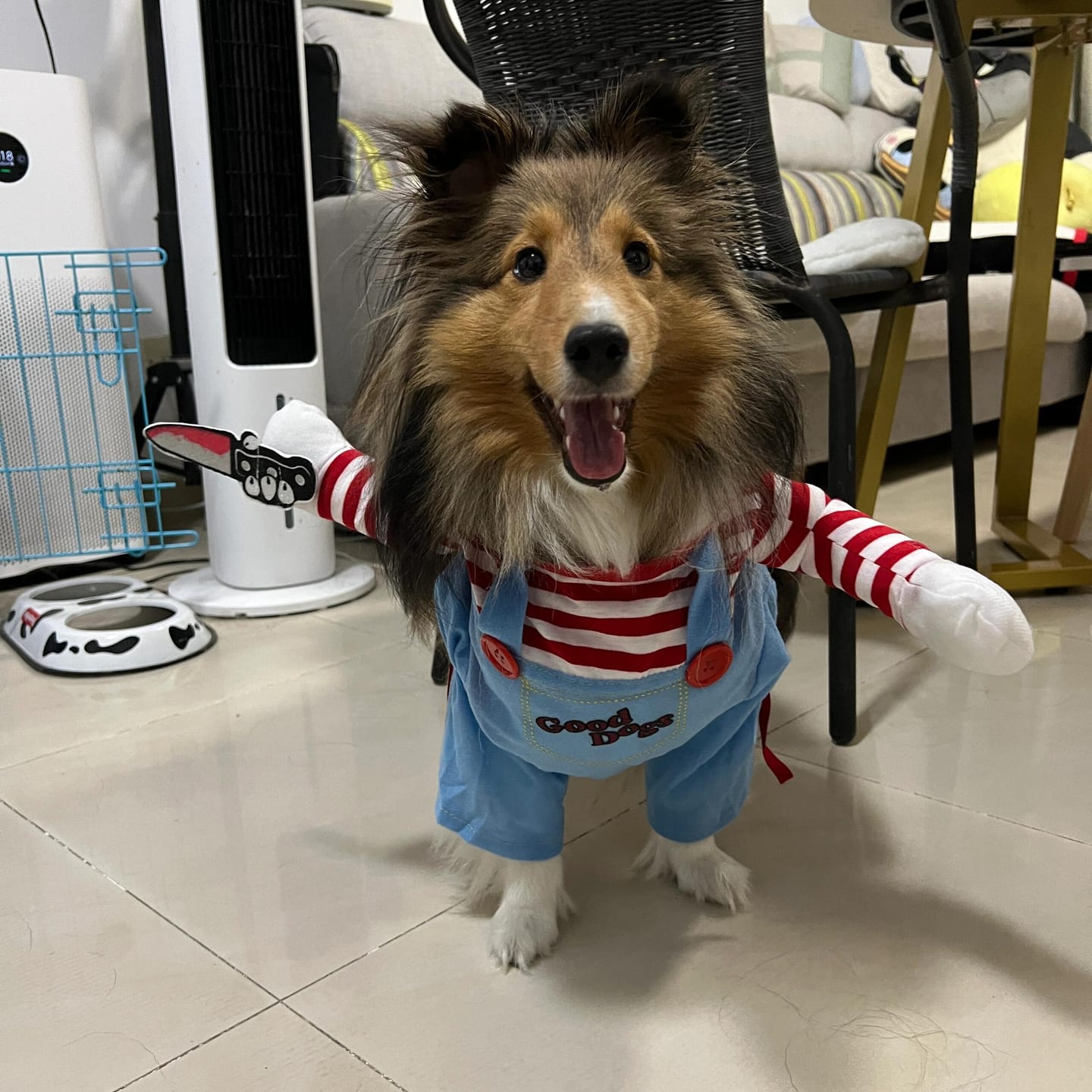 Customer photo review of Overalls with Knife Holder costume
