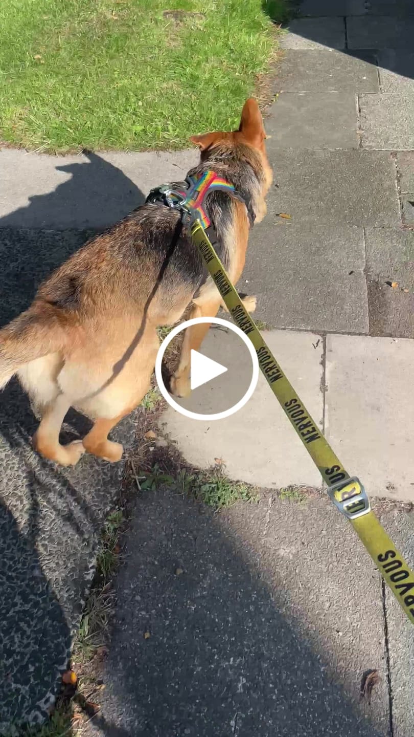 Customer video review of Awareness Multi-Way Lead