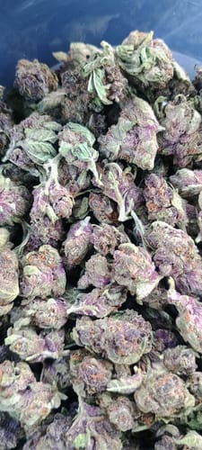 Customer photo review of Tropicana Cherry THCA Smalls