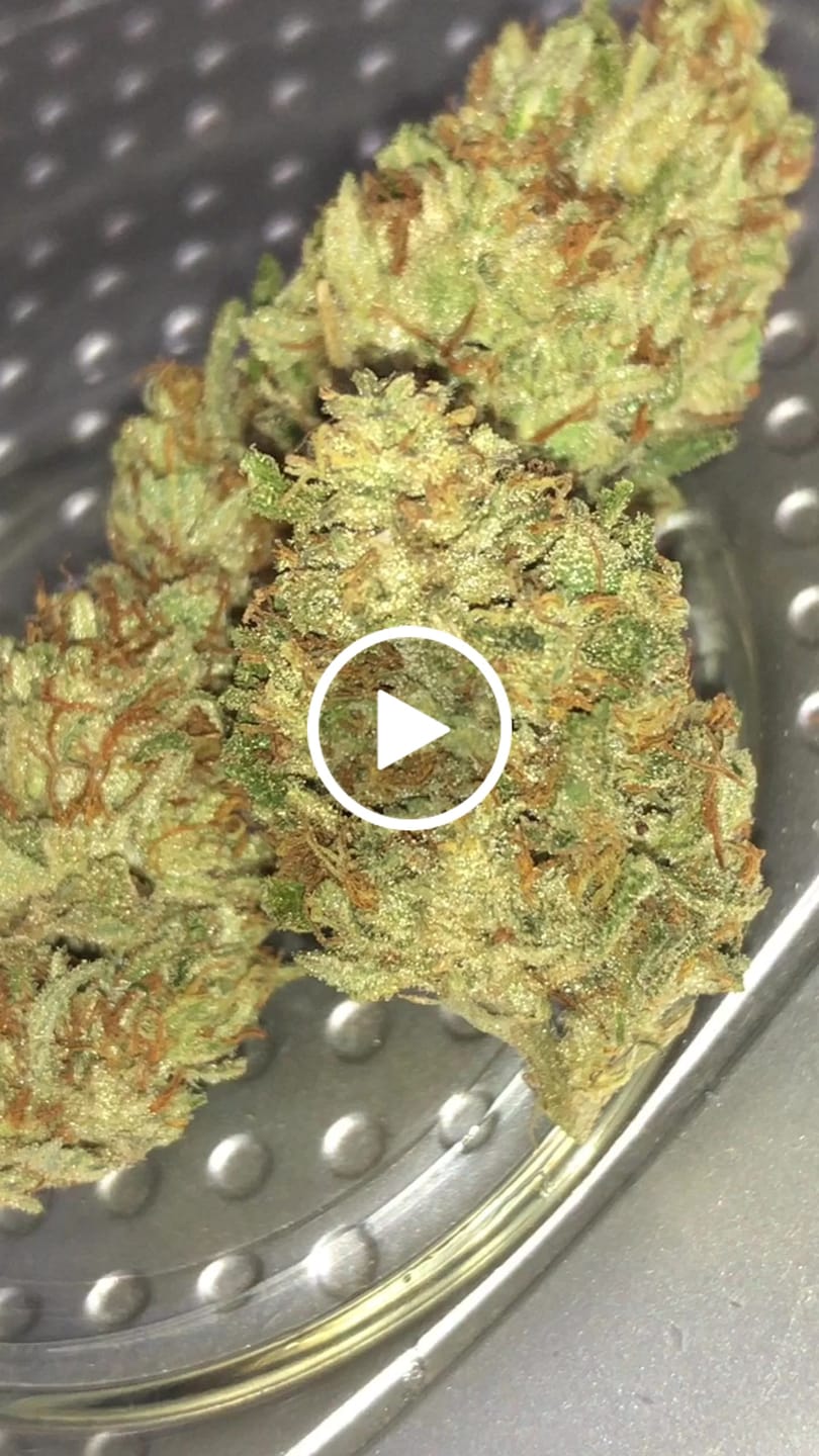 Customer video review of Indoor Smalls