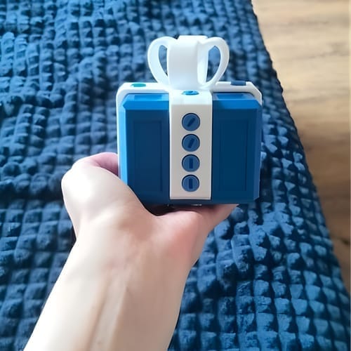 Customer photo review of Surprise Gift Box