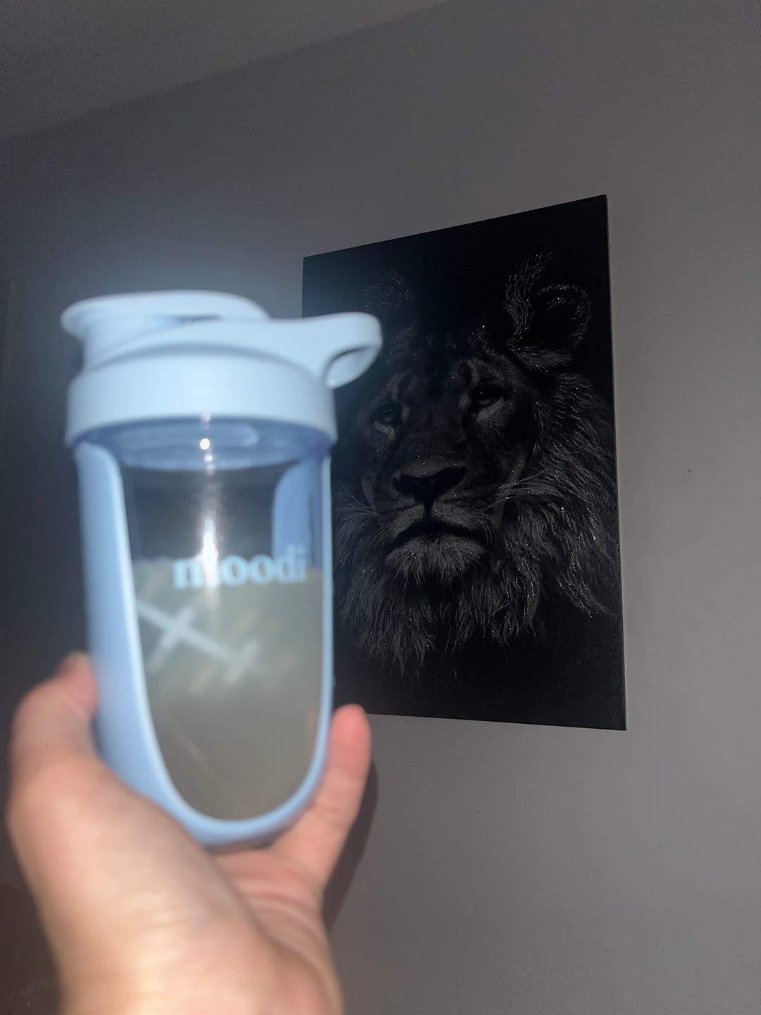 Customer photo review of Shaker