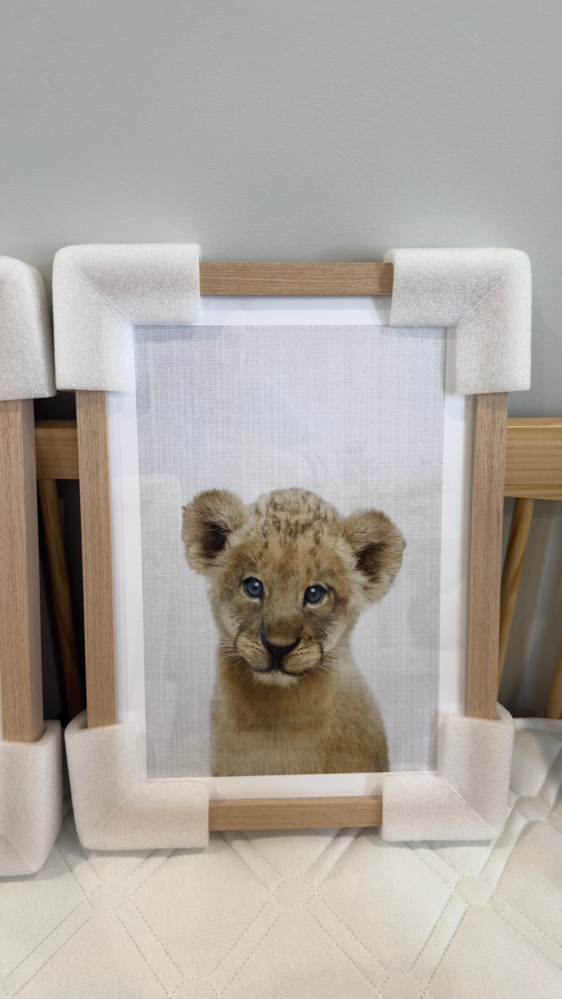 Customer photo review of Peakaboo Baby Lion By Lola Peacock | Art Print
