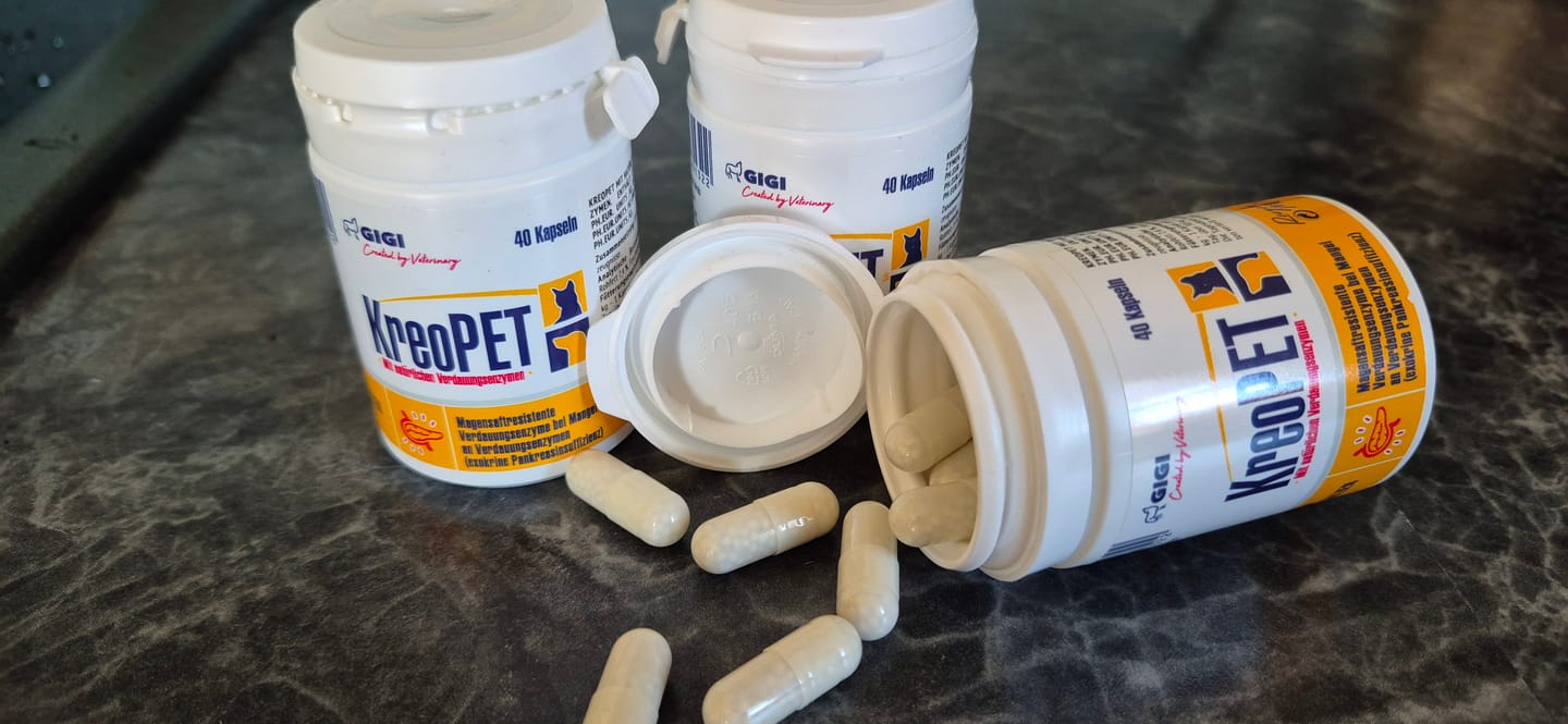 Customer photo review of GIGI VET KREOPET Pankeas Pankreasenzyme Pankreatin Verdauungsenzyme