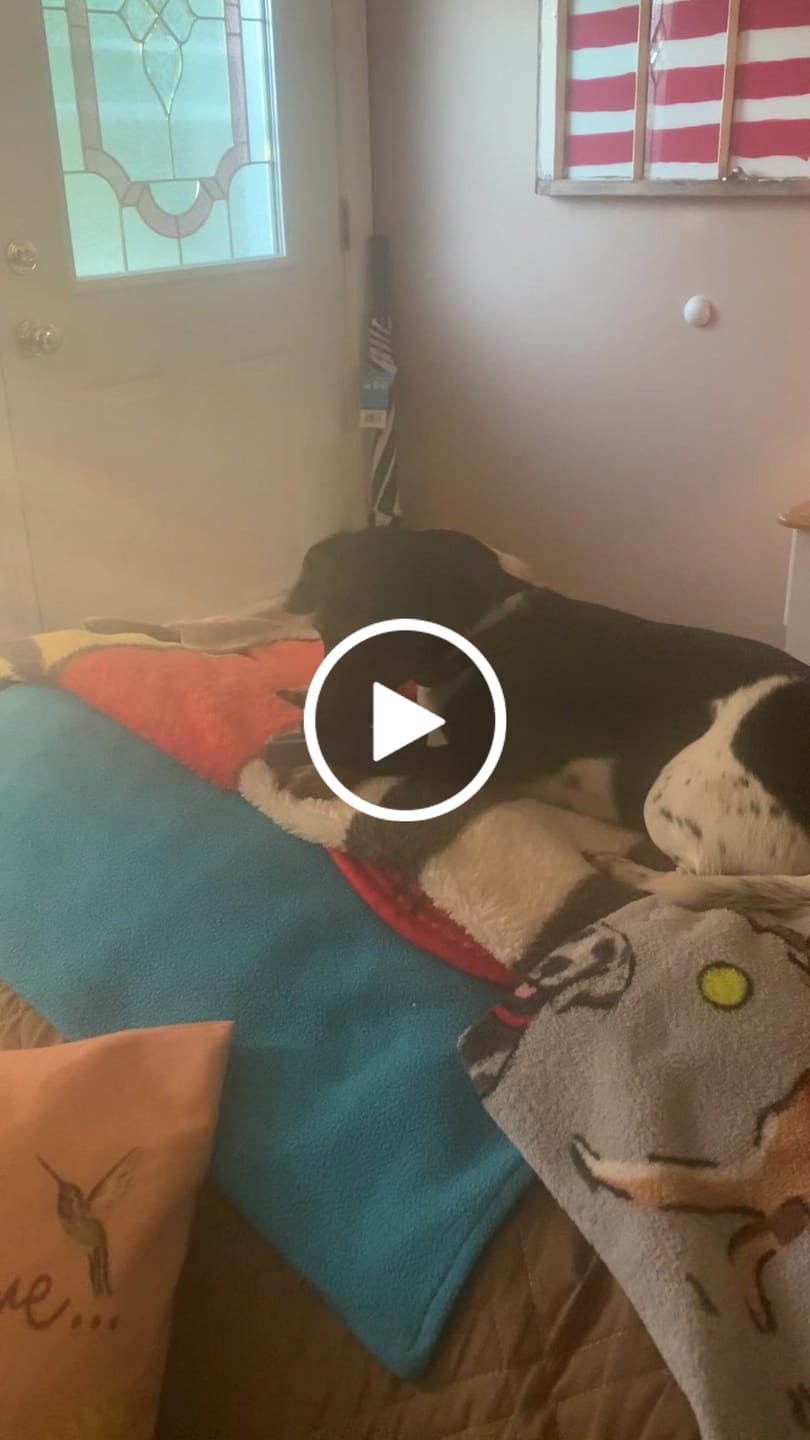 Customer video review of Strawberry Yak Chew — Vitamin C, Fiber & Teeth Whitening