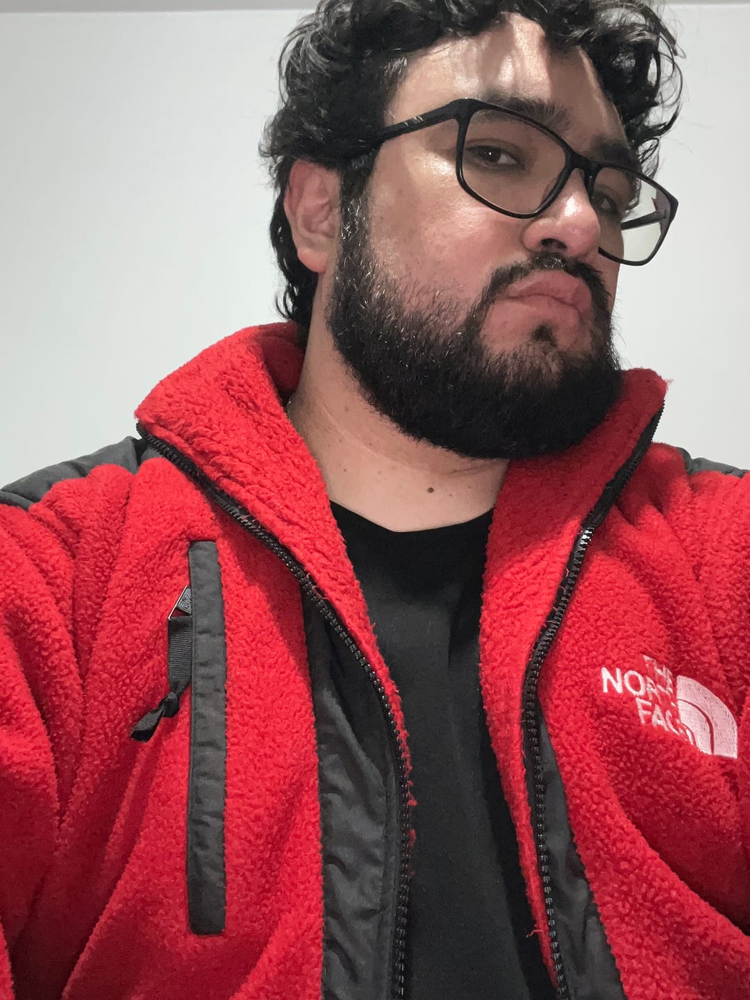 Customer photo review of 2000 Vintage North Face Red Denali Retro Jacket (M/L)