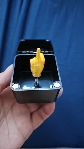 Customer photo review of Surprise Gift Box