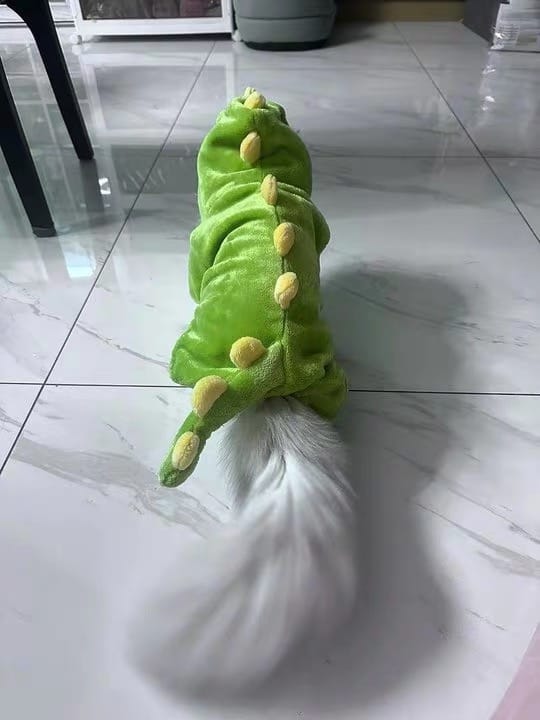 Customer photo review of Dinosaur Bodysuit costume
