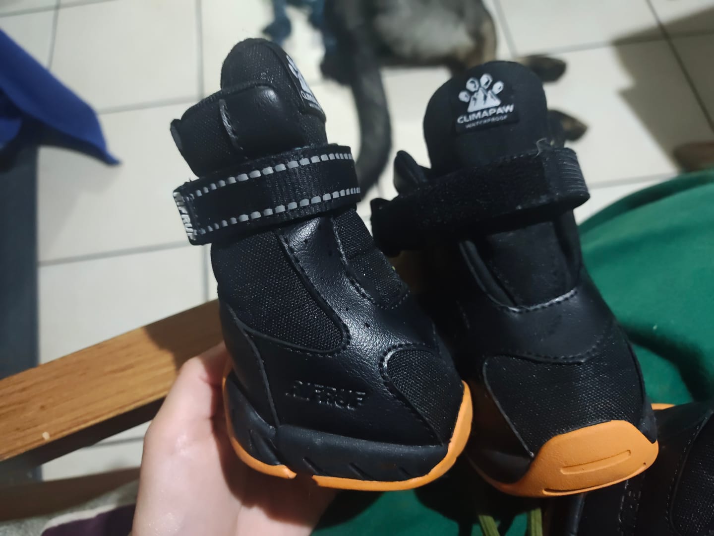 Customer photo review of Apollo 1