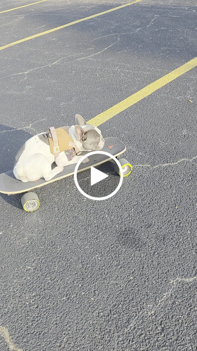Customer video review of MEEPO Shipping Protection