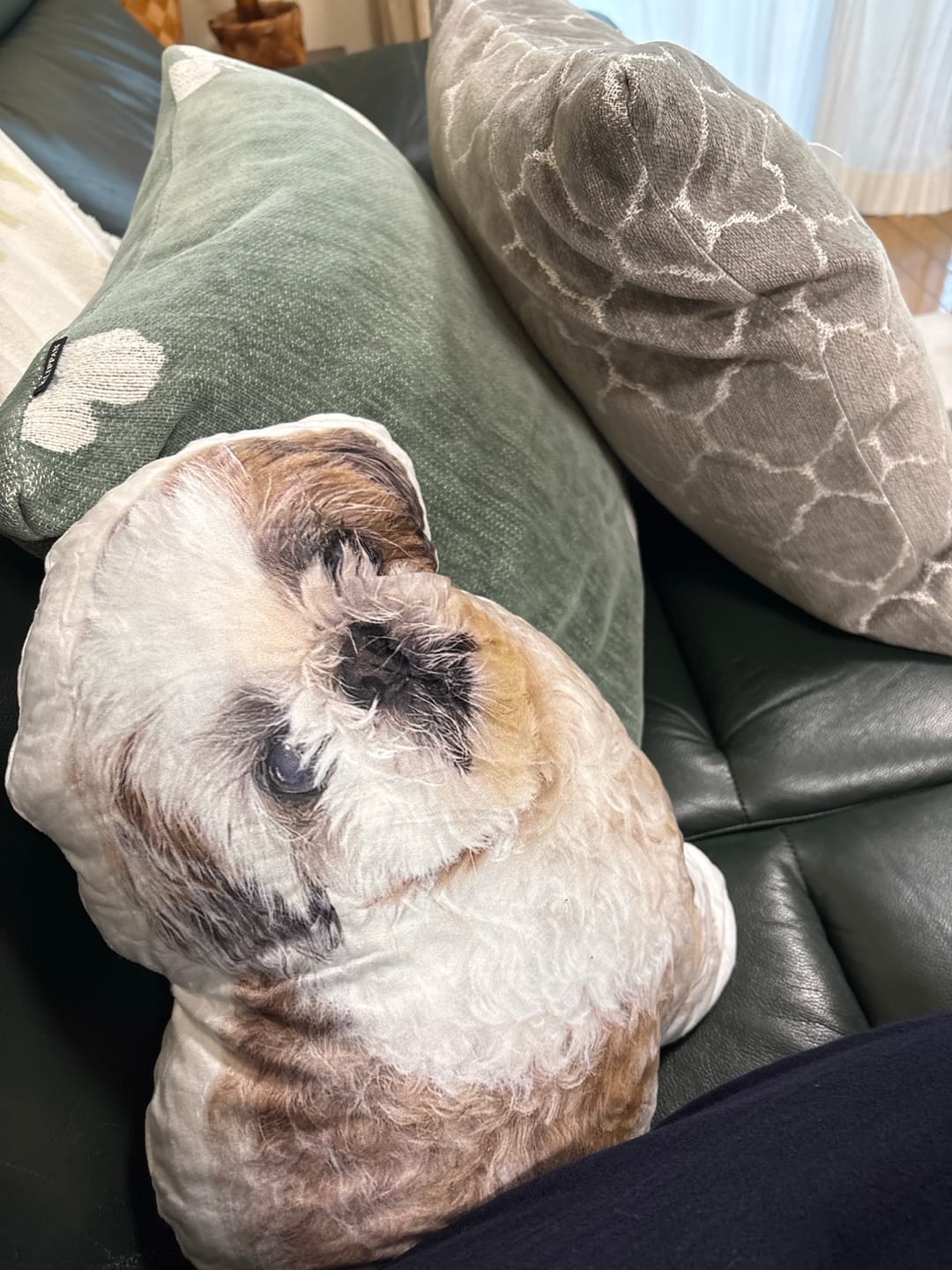 Customer photo review of 世界にひとつだけ♪好きな写真で作るオーダーメイドクッション（20～80cm）