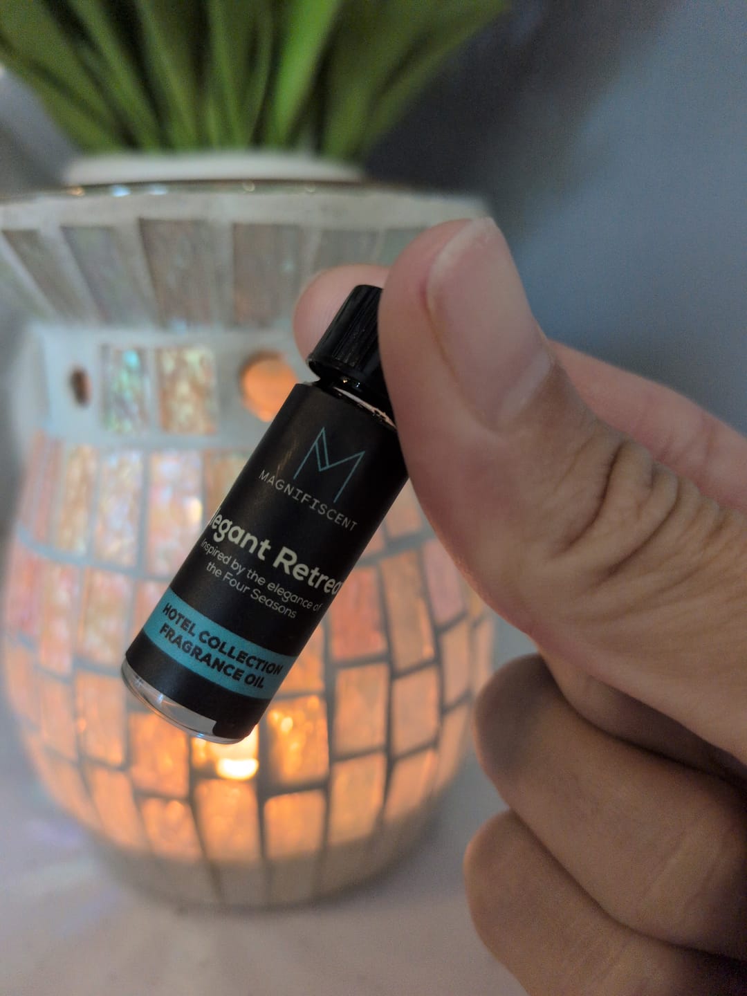 Customer photo review of Elegant Retreat(Sample 2ml)